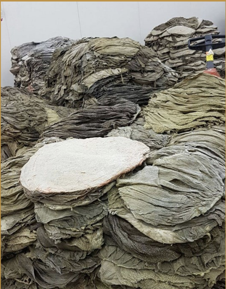 Dry Salted Beef Omasum